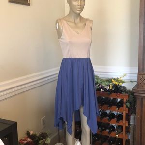 Freeway knee length sleeveless dress